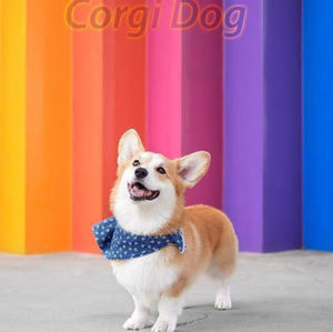 Meet your Posher, Tu